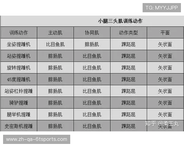健身器材锻炼计划高清视频教程推荐 健身器材锻炼计划高清视频教程推荐