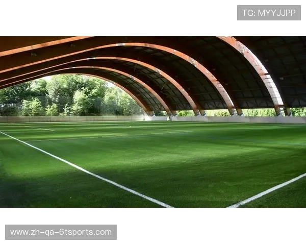 青训补偿机制在意大利足球利益分配体系中的历史演变与现状分析