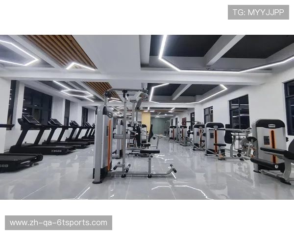 高性价比健身器材推荐：预算有限也能打造专业健身房