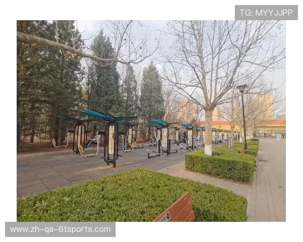 生活社区健身器材配备现状调查与优化建议 生活社区健身器材配备现状调查与优化建议